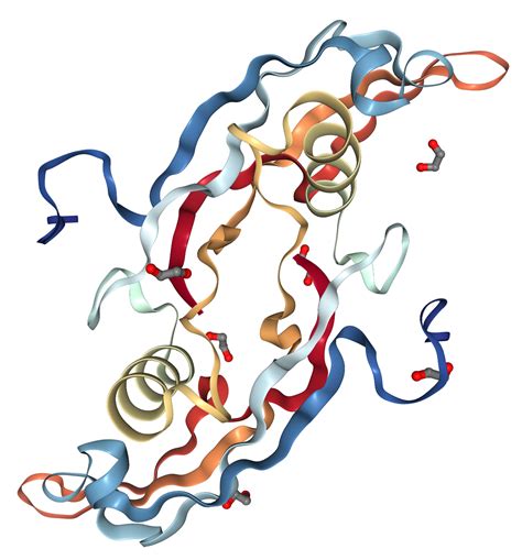 gdf15 protein